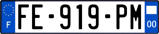 FE-919-PM