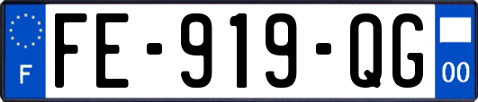 FE-919-QG