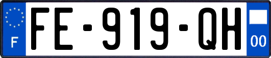FE-919-QH