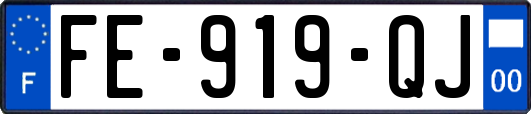 FE-919-QJ