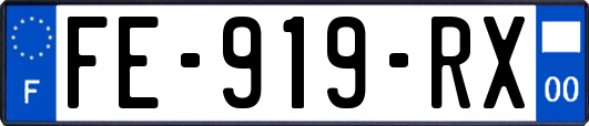 FE-919-RX
