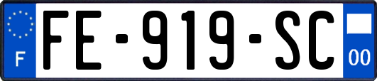 FE-919-SC