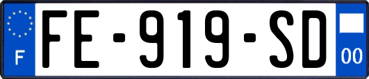 FE-919-SD