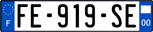 FE-919-SE