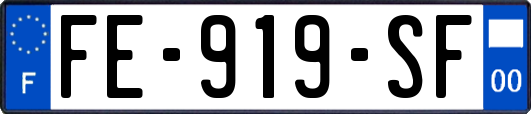 FE-919-SF