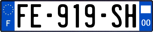 FE-919-SH