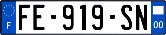 FE-919-SN