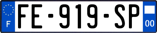 FE-919-SP