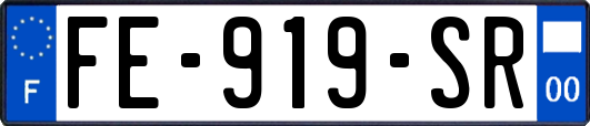 FE-919-SR