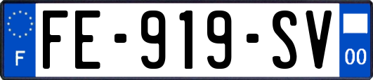 FE-919-SV