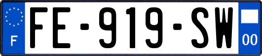 FE-919-SW
