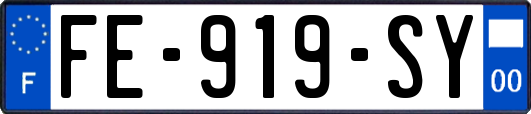 FE-919-SY