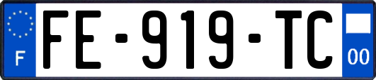 FE-919-TC