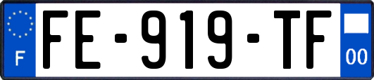 FE-919-TF
