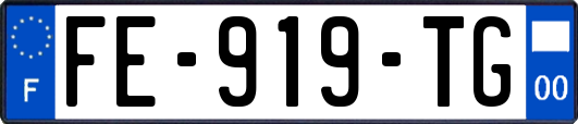 FE-919-TG