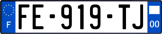 FE-919-TJ