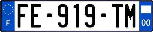 FE-919-TM