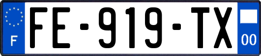 FE-919-TX