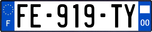 FE-919-TY
