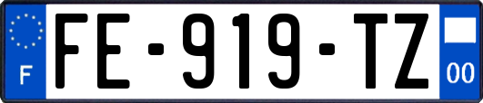 FE-919-TZ