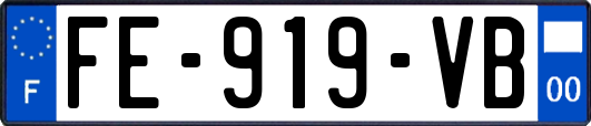 FE-919-VB