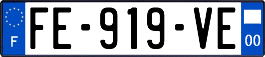 FE-919-VE