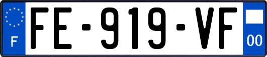 FE-919-VF