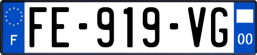 FE-919-VG