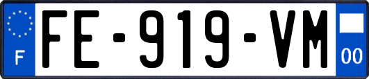 FE-919-VM