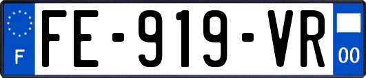 FE-919-VR