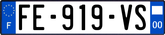 FE-919-VS