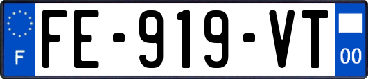 FE-919-VT