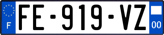 FE-919-VZ