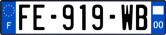 FE-919-WB