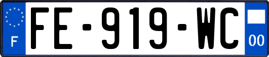 FE-919-WC