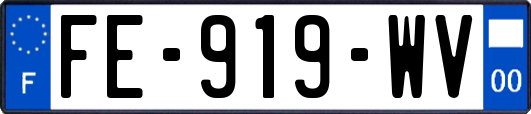 FE-919-WV