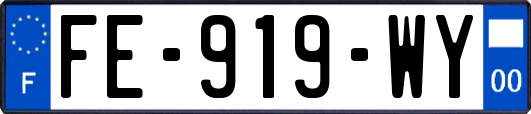 FE-919-WY