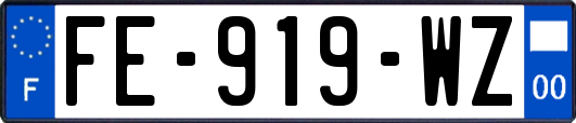 FE-919-WZ