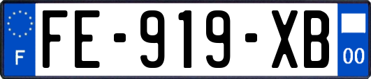 FE-919-XB