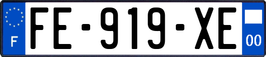 FE-919-XE