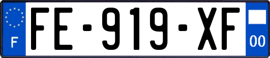 FE-919-XF