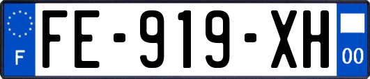 FE-919-XH