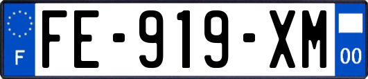 FE-919-XM