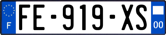 FE-919-XS