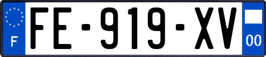 FE-919-XV