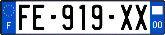 FE-919-XX