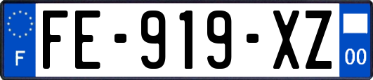FE-919-XZ