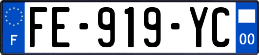 FE-919-YC