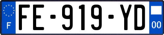 FE-919-YD