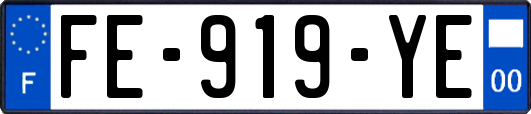 FE-919-YE